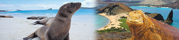 GALAPAGOS ISLANDS - UNFORGEATABLE NATURAL EXPERIENCES 